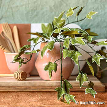 Crepe Paper English Ivy Plant