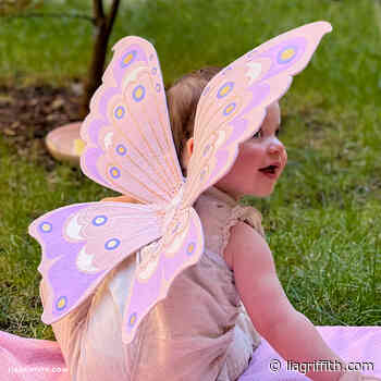 Wearable Felt Fairy Wings