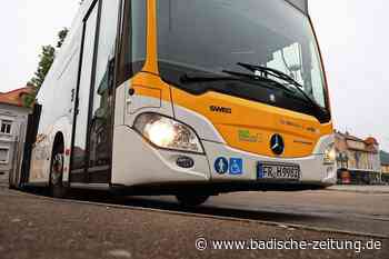 Warnstreik: In Lahr und Umland dürften am Freitagmorgen viele Busse ausfallen - Lahr - Badische Zeitung - badische-zeitung.de