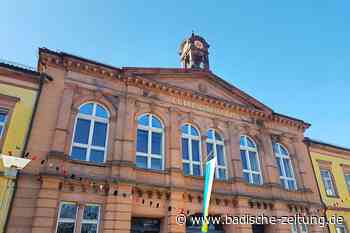 Prüfer kritisieren Grundstücksdeal mit Lahrer Bürgermeister - Lahr - Badische Zeitung - badische-zeitung.de