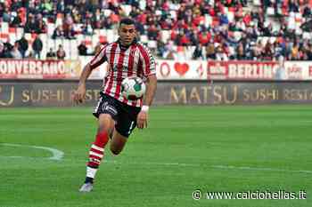 Coppa Italia, il Bari elimina il Padova e sfiderà il Verona - Calcio Hellas