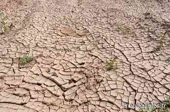 Canicule : 16 communes vosgiennes risquent de manquer d'eau potable - Epinal infos - Epinal Infos