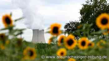 Energiekrise: Könnte Atomkraft Teil der Lösung sein?