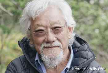 COLUMN: We need to look up - The Nelson Daily