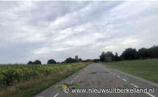 Nieuws uit Berkelland » Onverlaten vernielen deel 'zonnebloem lint' - Eibergen, Neede, Borculo en Ruurlo! - Nieuws uit Berkelland