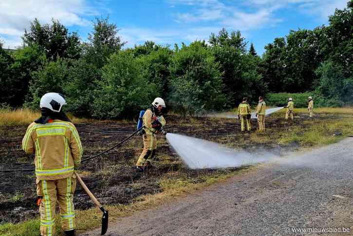 Klein-Brabant in de ban van minstens 10 natuurbranden in enkele weken tijd: alles wijst in richting van kwaad opzet