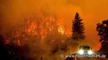 Riesiges Feuer in kalifornischem Nationalforst