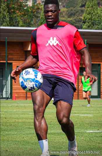QUI PEGLI: ultimo allenamento settimanale per il Genoa - PianetaGenoa1893 - Pianetagenoa1893.net