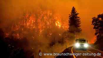 Riesiges Feuer in kalifornischem Nationalforst