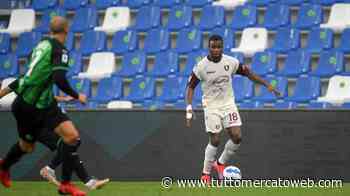 Salernitana, si fermano Coulibaly e Bradaric: per entrambi lesione di basso grado ai flessori - TUTTO mercato WEB