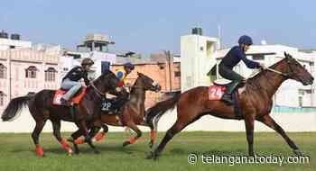 Horse Racing: Ayr has the edge in PG Reddy Memorial Trophy - Telangana Today
