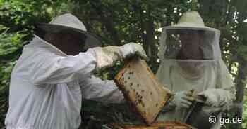 Bonn: Wie arbeitet ein Imker? - General-Anzeiger Bonn