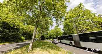 Bonn: Wie Hardtberg in Zukunft grüner werden soll - General-Anzeiger Bonn