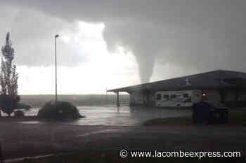 BREAKING: Tornado touches down outside of Coronation, Alta. - Lacombe Express