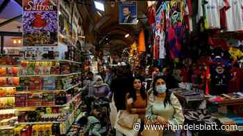 Devisen: Flucht aus der Lira: Der türkischen Währung droht ein Absturz, der kaum noch aufzuhalten ist