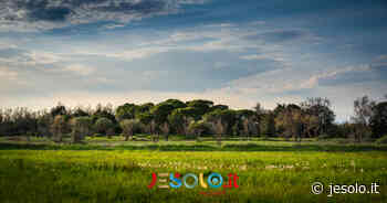 Consigli per una vacanza a Jesolo in camping - Jesolo.it