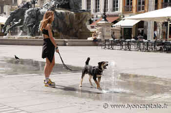 Nouvel épisode de canicule à Lyon à partir de ce lundi 1er août - Lyon Capitale