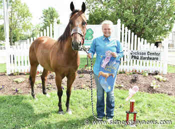 Champion trail and more - sidneydailynews.com