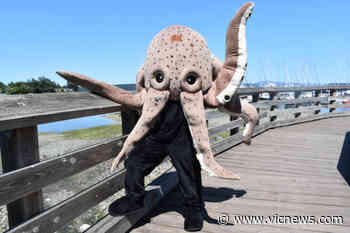 Sidney aquarium getting creative for naming newest giant Pacific octopus - Victoria News