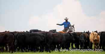 Got Parasites? Don’t Guess. Test.