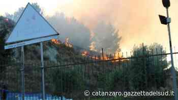 Crotone, Parco Pignera brucia di nuovo. Vazzano: "Attacco mirato a noi" - Gazzetta del Sud - Edizione Catanzaro, Crotone, Vibo