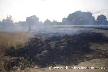 London Fire Brigade tackles three grass fires in south east London