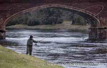 River Ribble anglers issued with report forms over unlicensed fishing suspicions
