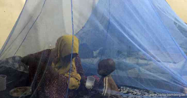 880 Millionen Euro für Kampf gegen Hunger