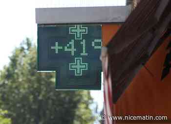 Canicule: à quel moment la chaleur devient-elle un danger pour notre corps?