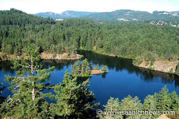 CRD sets 10-year vision for regional park actions - Saanich News