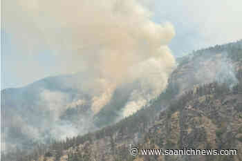 Minimal overnight growth at Keremeos Creek fire in South Okanagan - Saanich News