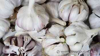 Knoblauch gegen Schädlinge: Natürlicher Pflanzenschutz im Garten