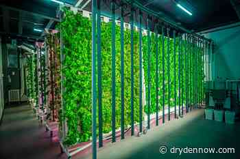 Dryden business in the running for $5000 Grand Prize - DrydenNow.com