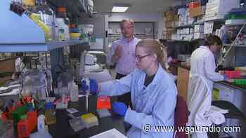 UGA researchers work on nasal coronavirus vaccine - WGAU