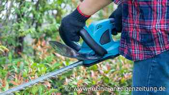 Makita Gartenwerkzeuge: Rasentrimmer, Heckenscheren & mehr jetzt stark reduziert
