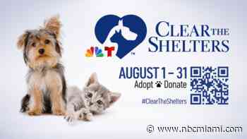 Clear the Shelters Pet Adoption Campaign Kicks Off in South Florida