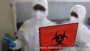 Affenpocken-Infektionen steigen weltweit – Erste Todesfälle gemeldet