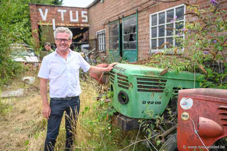 Ooit was dit het mekka van de witloofboeren, nu houdt gemeente er grote schoonmaak: “Een stukje geschiedenis gaat verloren, maar zo kon het niet blijven duren”