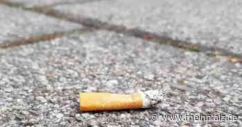 Brand an Spielplatz gelöscht - Mannheim - DIE RHEINPFALZ - Rheinpfalz.de