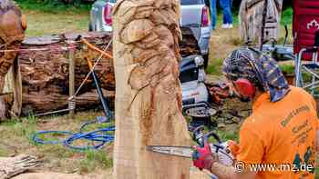 Dübener Heide: Säge-Künstler sind zurück beim Skulpturenwettbewerb in Tornau - Mitteldeutsche Zeitung