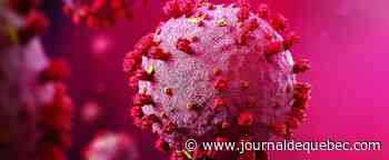 Aucun nouveau décès lié à la COVID-19 au Québec