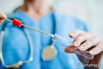 Coronavirus in provincia di Siena: 158 nuovi casi, 2.140 positivi, 39 ricoverati - SienaFree.it