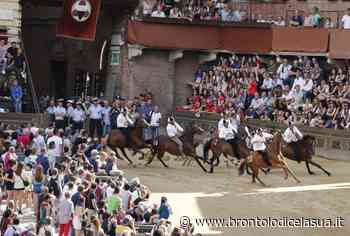 PALIO SIENA: I CAVALLI CHE POTREBBERO CORRERE IL PROSSIMO PALIO DI AGOSTO - Brontolo dice la sua