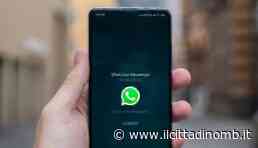 La startup Refyne, che opera nel campo degli stipendi su richiesta, offre ora servizi Whatsapp - Il Cittadino di Monza e Brianza