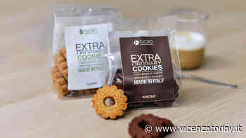 Biscotti fatti con gli insetti, la rivoluzione parte da Schio - VicenzaToday