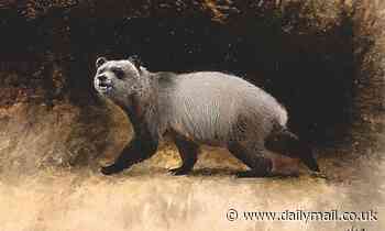 Europe's last pandas were giant weaklings who couldn't even eat bamboo