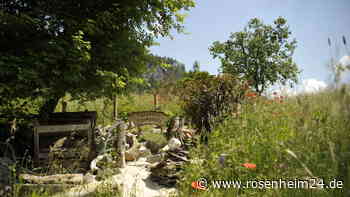 Bischofswieser Gartenbauverein steht mit Naturlehrgarten im Finale der bayerischen Vielfaltsmeisterschaft