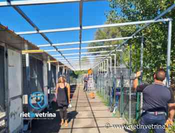 Nuova tettoia anti sole e pioggia al Canile Sanitario di Rieti - Rietinvetrina