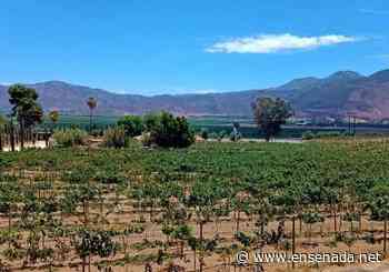 Avanzan preparativos para 43 Congreso Internacional - Ensenada.net