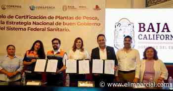 Sector pesquero es pieza clave en el desarrollo de Ensenada: Armando Ayala - El Imparcial